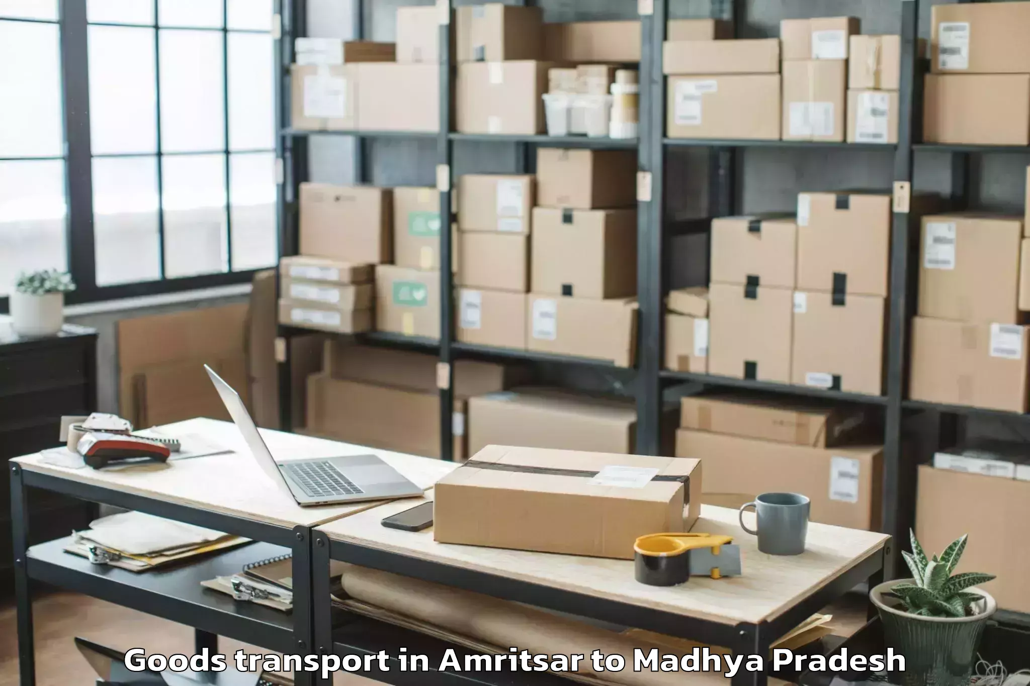 Top Amritsar to Manpur Goods Transport Available